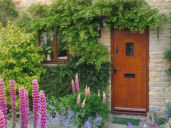 Photo of Front of Cottage and Garden