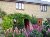 Photo of Front of Cottage and Garden