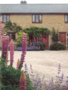 Manor Farm Cottage