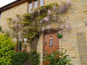 Photo of Front of Cottage and Garden